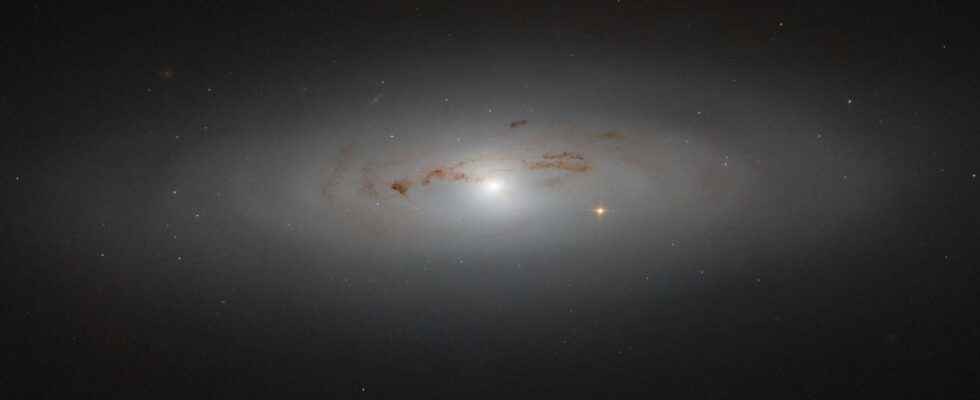 One in five galaxies in the Universe is believed to