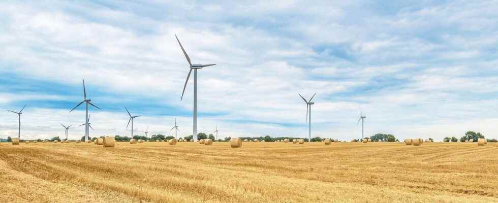 What are the five types of renewable energy