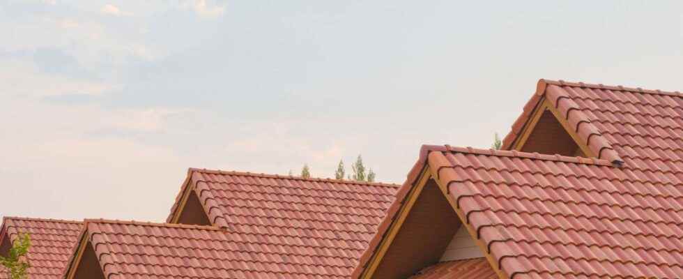 What is the price of a roof per m²