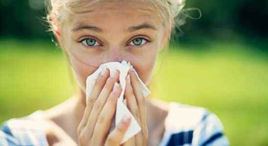 Antihistamines all you need to know to fight allergies