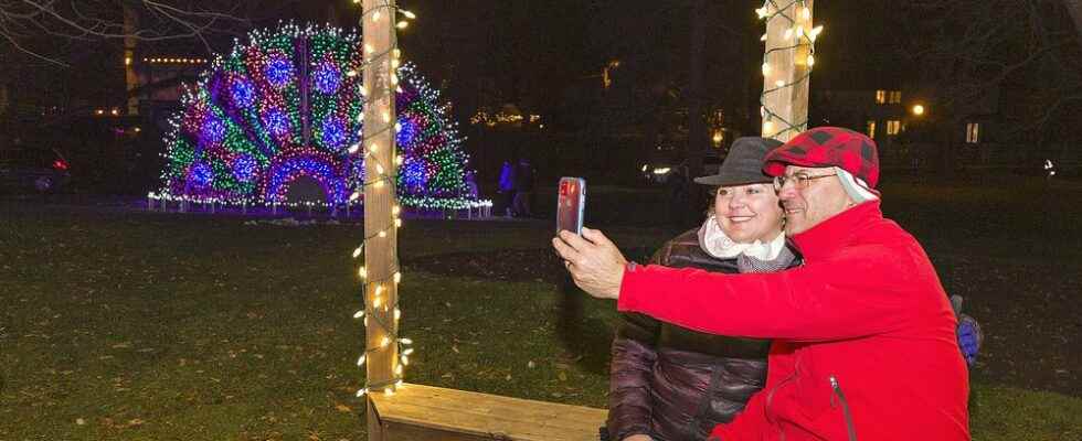 Brantford Lights at Glenhyrst must see event