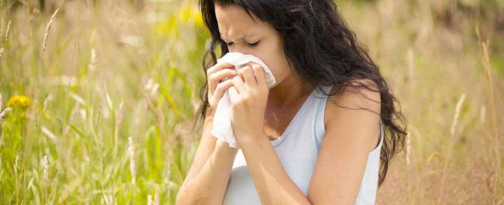 Does desensitization against pollen allergy really work