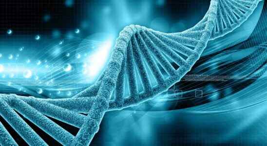 Genetics what are the hereditary characteristics