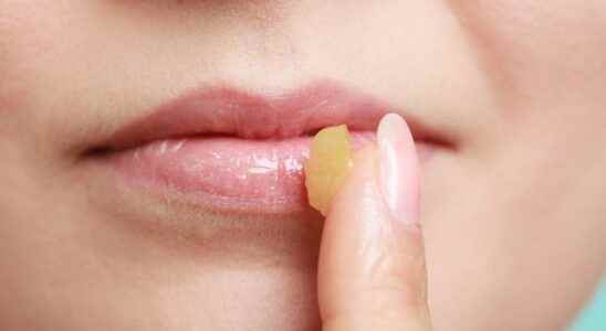 Honey lip balm recipe