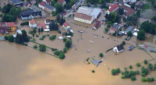 How biodiversity can help mitigate climate disasters