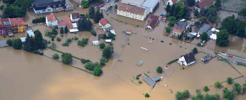 How biodiversity can help mitigate climate disasters