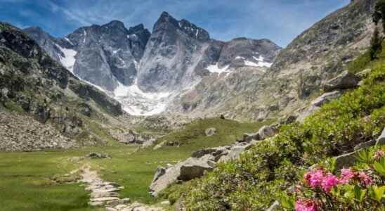 How were the Pyrenees formed