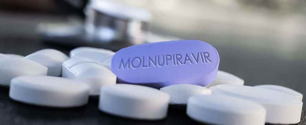 Molnupiravir dismissed by the HAS return to the disappointments of