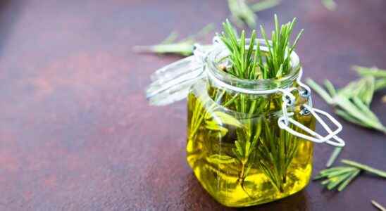 Rosemary anti bud serum