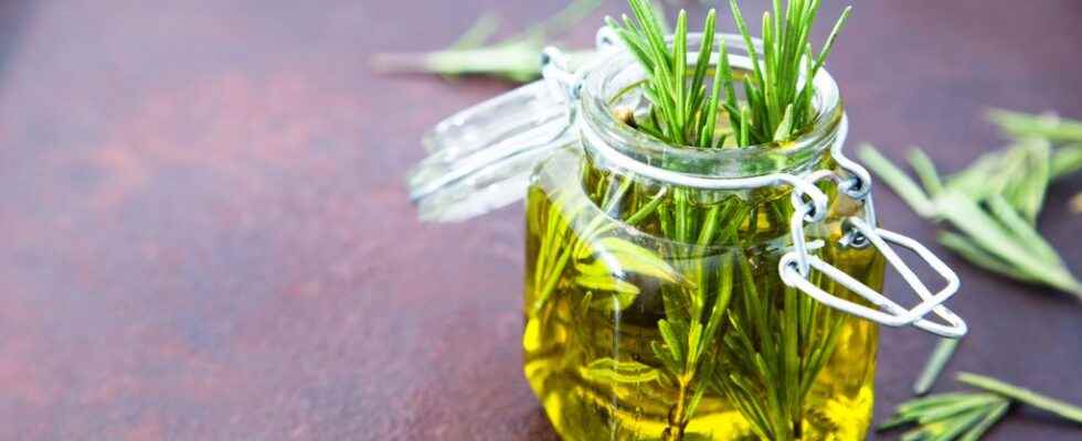 Rosemary anti bud serum