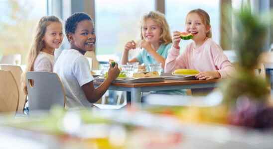 School canteens what protocol for meals