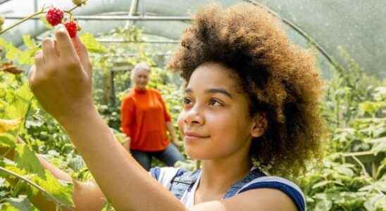 School gardens or how to get your children to eat