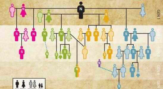 Scientists uncover the worlds oldest family tree with DNA analysis