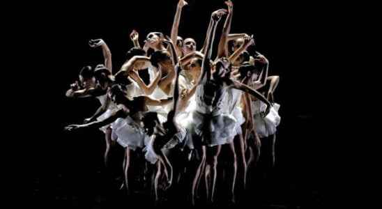 Swan Lake at the Royal Opera of Versailles