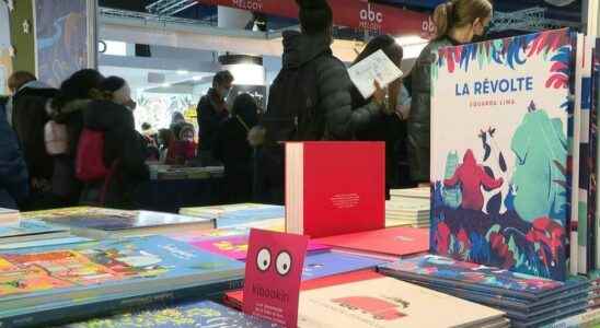 The Childrens Book and Press Fair in Montreuil