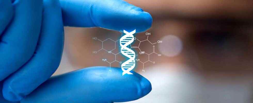 The gene from DNA to proteins