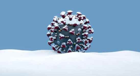 There is a biological reason why the coronavirus is seasonal