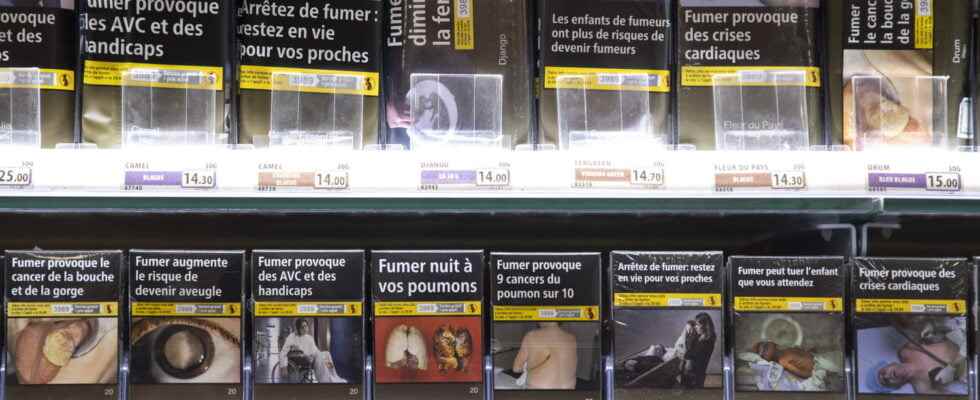 Tobacco prices 2022 prices on January 1