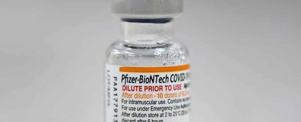 What is PfizerGate