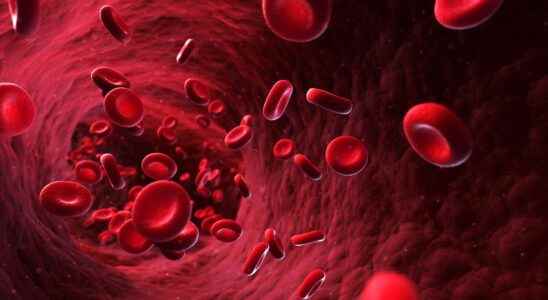 Why do we measure the hematocrit level