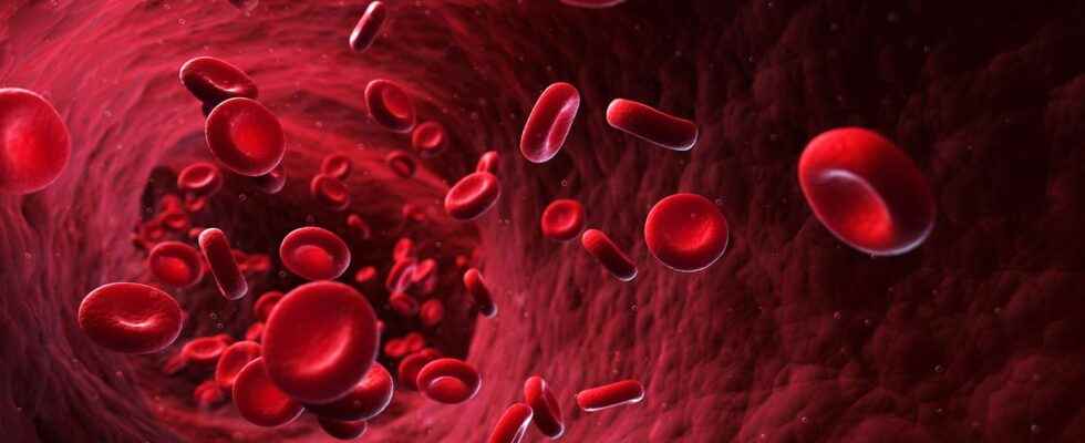 Why do we measure the hematocrit level