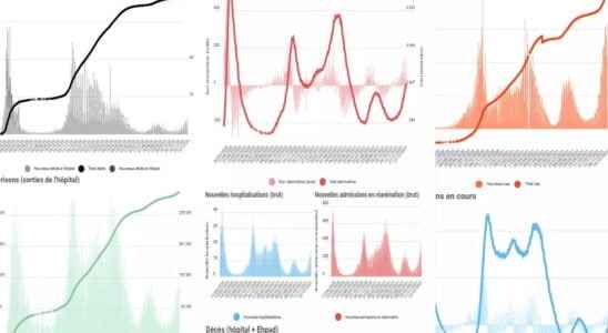 1641576668 COVID FIGURES Cases deaths Assessment of Covid 19 in France