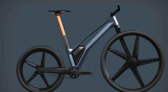 A Cupra folding electric bike Not so fast