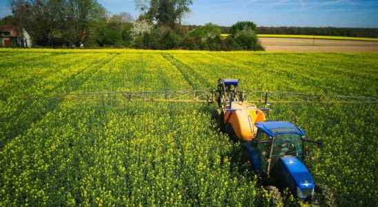 A urine based fertilizer to limit the use of fertilizers