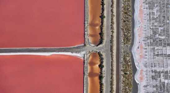 All the beauty of the Camargue seen from the sky