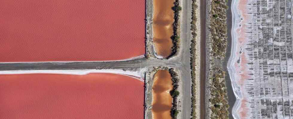 All the beauty of the Camargue seen from the sky