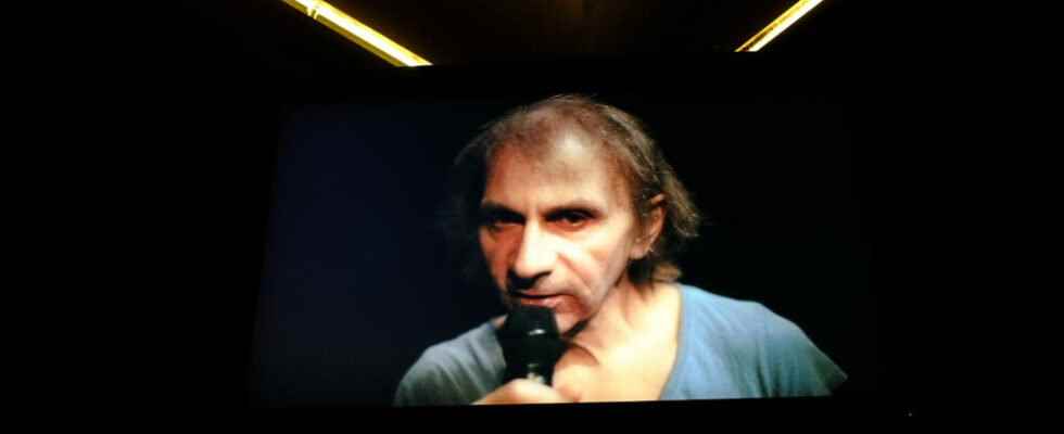 Annihilate the new novel by Michel Houellebecq is desired