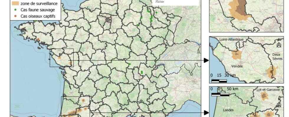 Avian flu symptoms in France in which departments