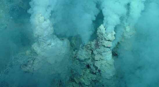 Bacteria in hydrothermal vents are great energy powerhouses