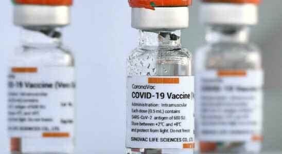 Covid vaccines at the heart of Chinese diplomacy