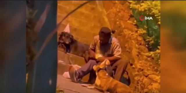 Emotional image Colombian homeless man celebrates his birthday with dogs