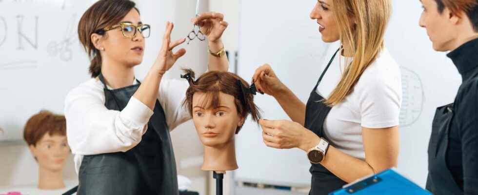 Hairdressing professions how to convert