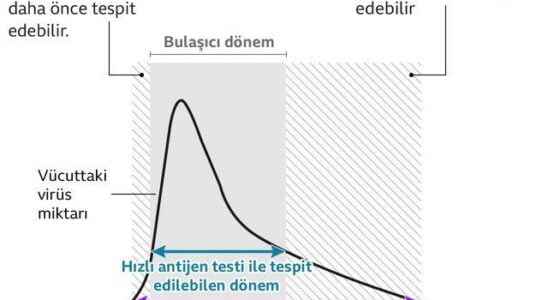 How rapid antigen testing changed the course of the pandemic