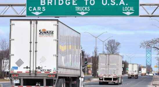 Nicholls slams vaccine mandate for cross border truckers