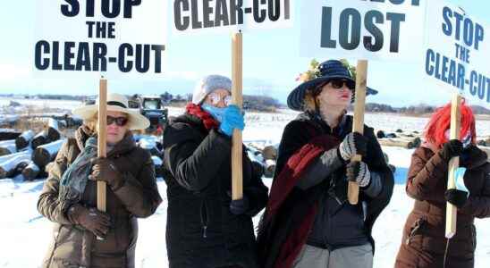 Raging Grannies calling on Chatham Kent to provide accountability with temporary