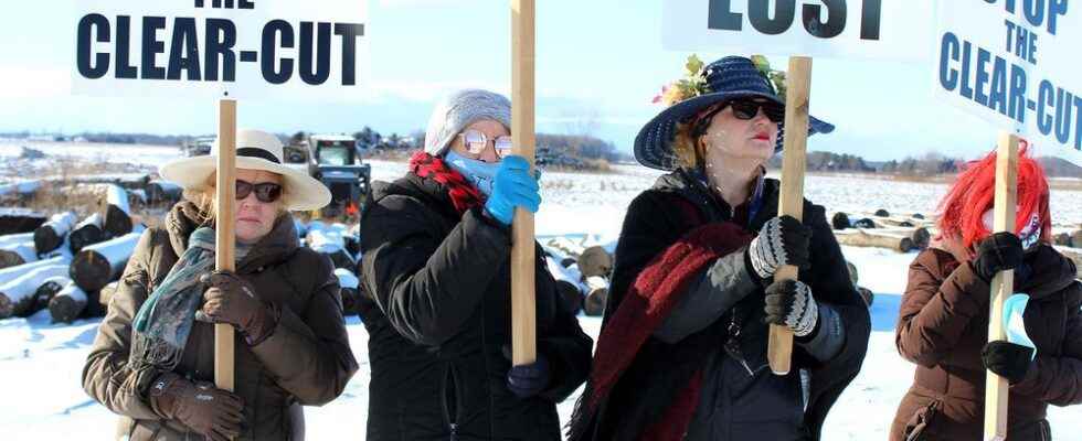 Raging Grannies calling on Chatham Kent to provide accountability with temporary