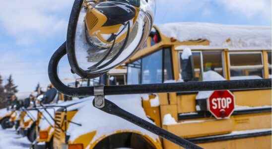 School bus operators plea for patience as driver shortage causes