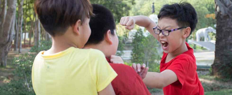 School harassment the Maison de Marion treats victims and aggressors