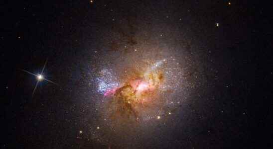 Surprise A giant black hole makes stars