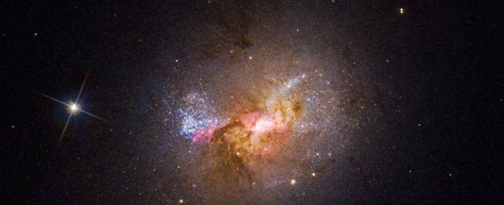 Surprise A giant black hole makes stars