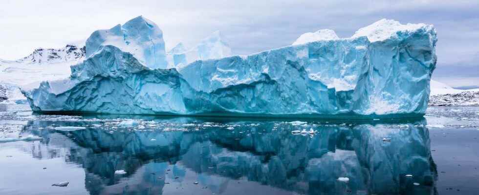 The giant iceberg off South Georgia has released 152 billion