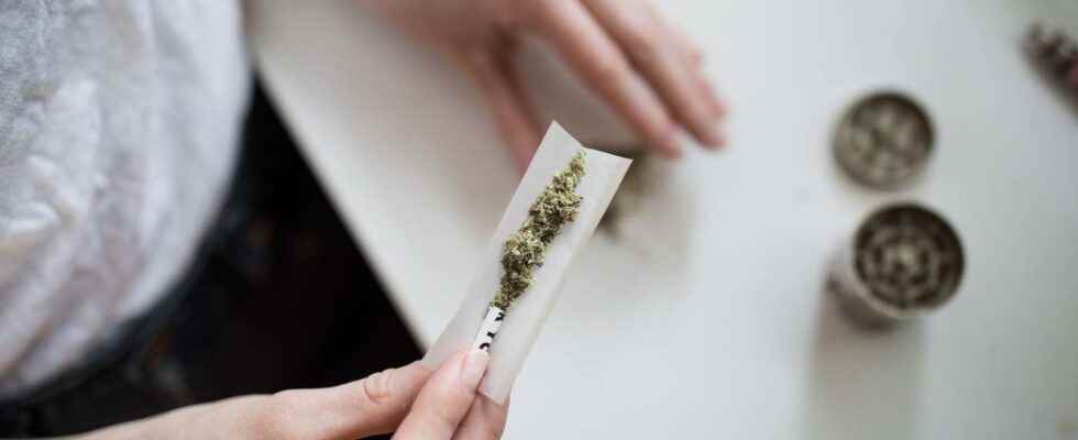 Using cannabis as a teenager would increase the risk of