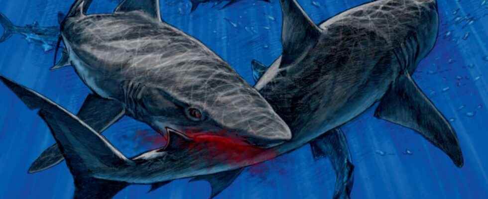 When sharks devoured each other