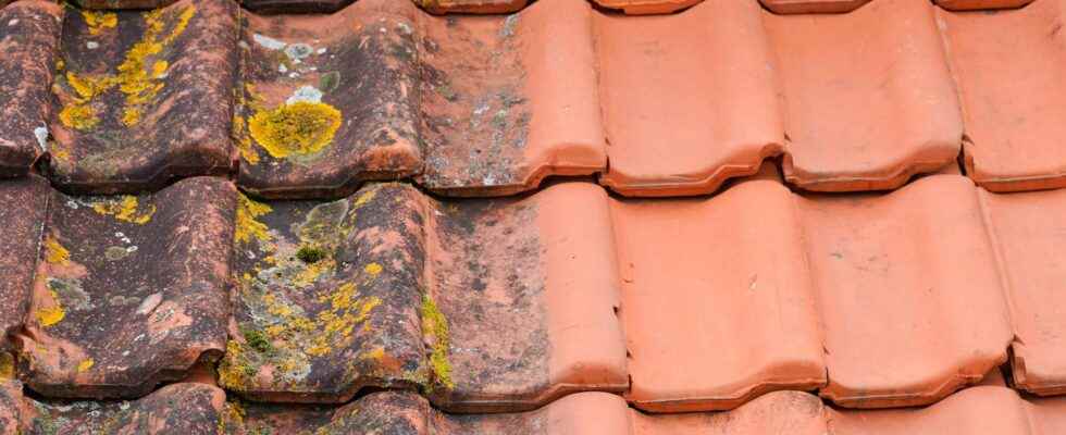 Why carry out a regular roof defoaming