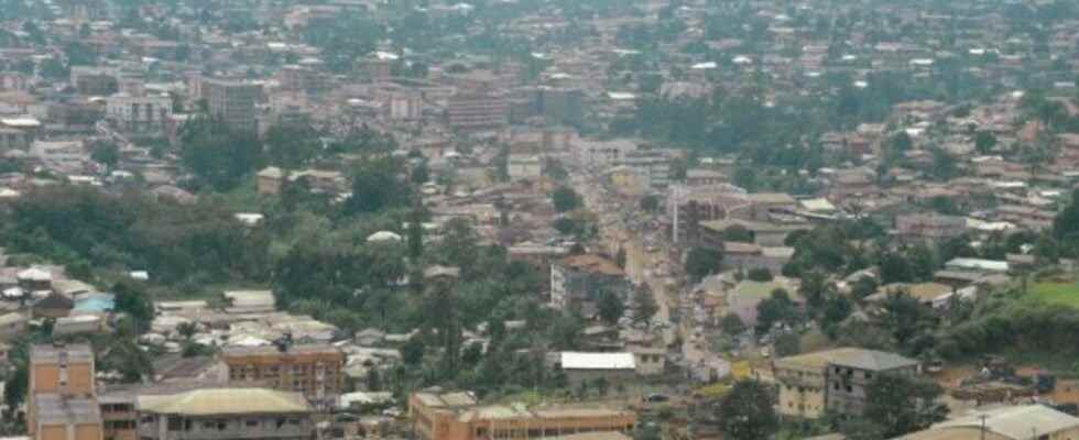 an opposition senator shot dead in the street in Bamenda