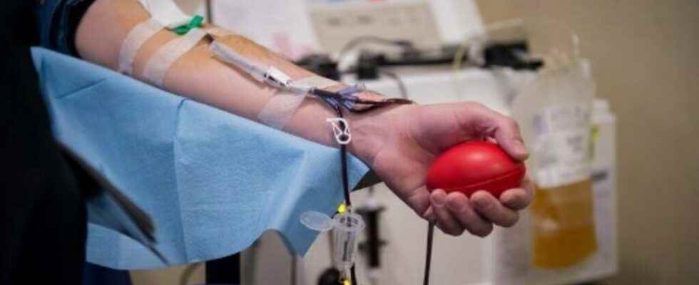 blood donation soon open to homosexuals without conditions